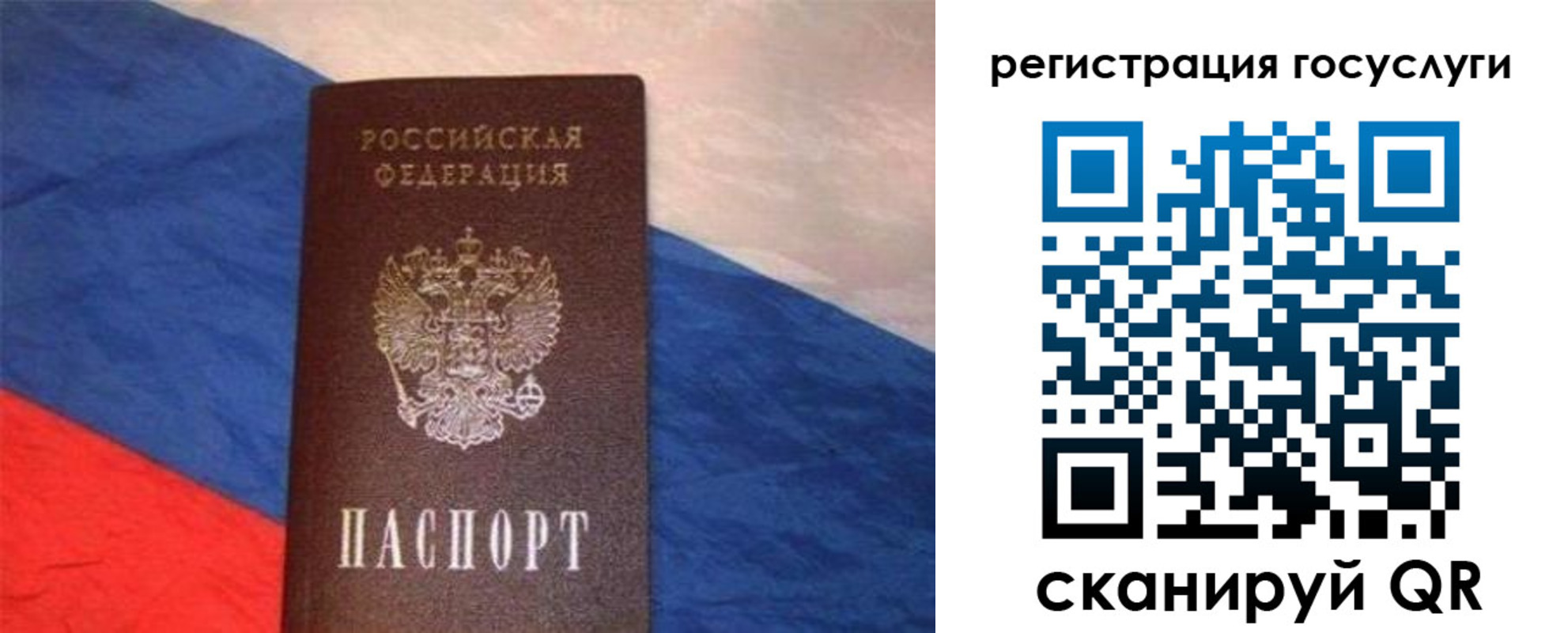 временная регистрация гарантия в Торжоке
